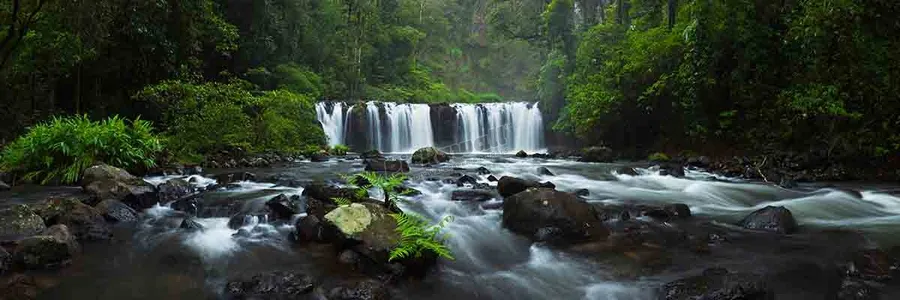 Wooroonooran National Park