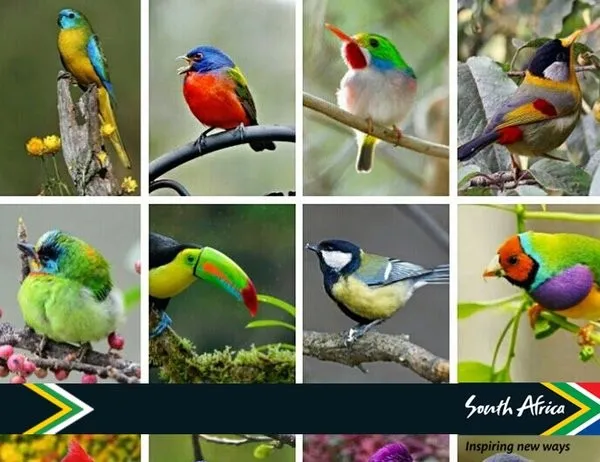 World of Birds Wildlife Sanctuary