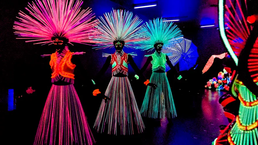 World of WearableArt & Classic Cars Museum