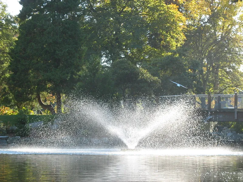Wright Park