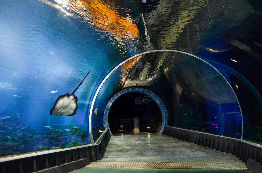 Wrocław Zoo