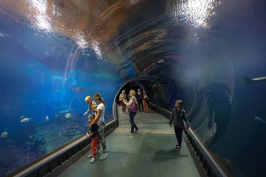Wroclaw Zoo