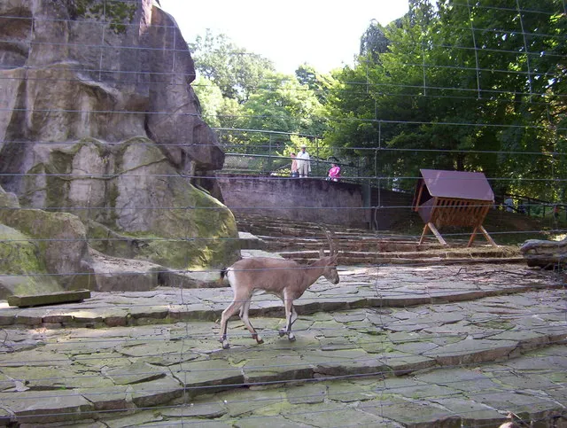 Wuppertal Zoo