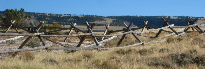 Wyoming String Project