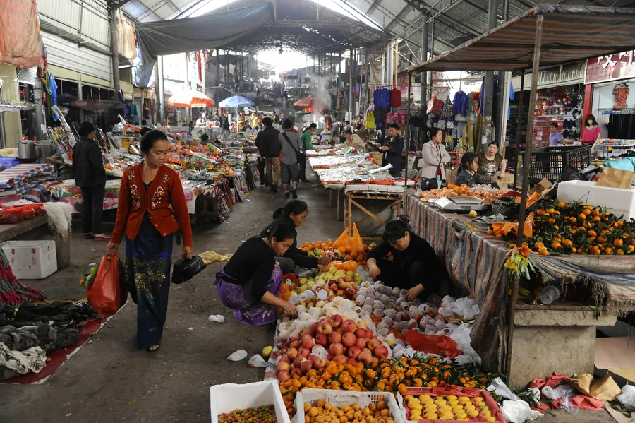 Xishuangbanna Tropical Flower and Plant Market