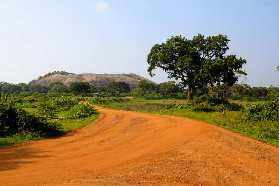 Yala National Park