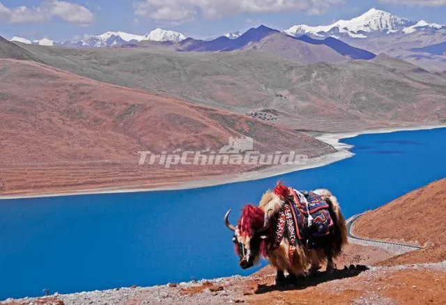 Yamdrok Lake
