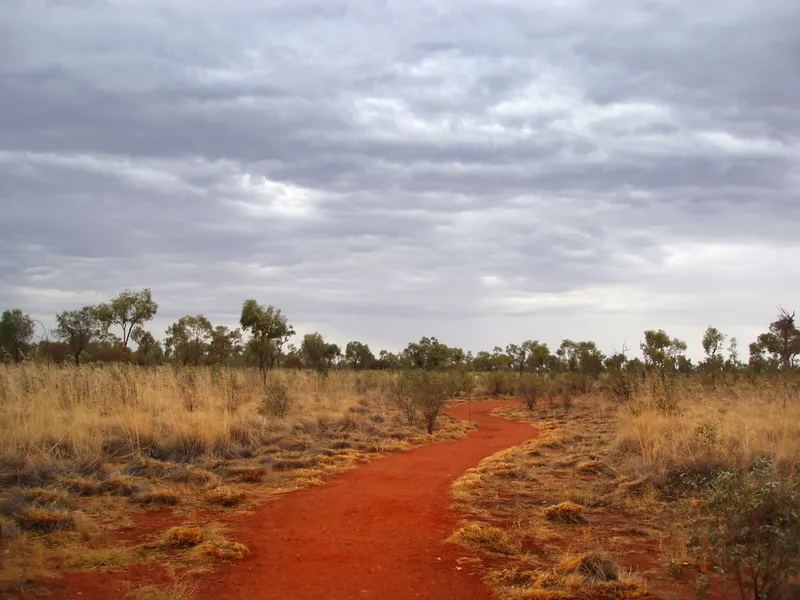Yarrawa Brush Walking Track
