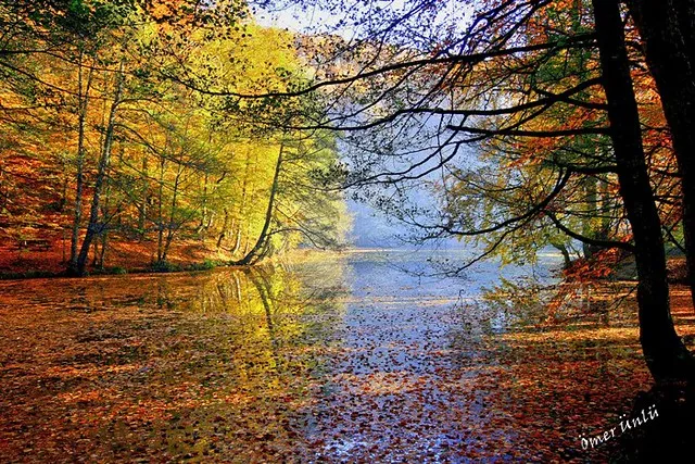 Yedigoller National Park