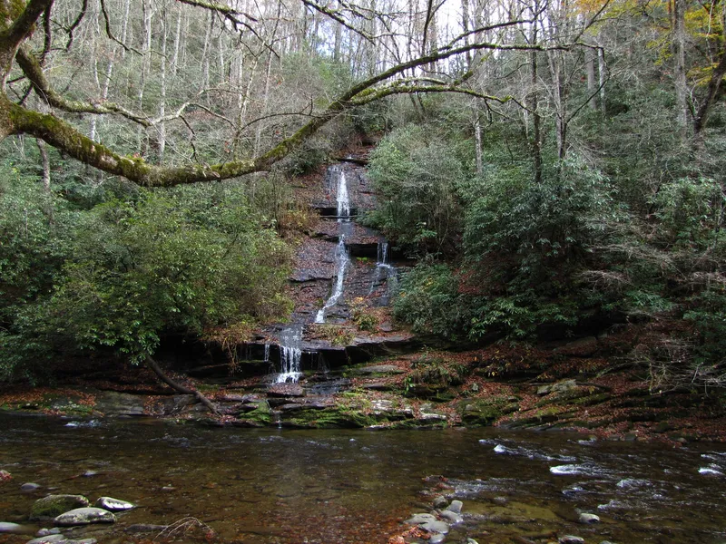 Yellow Branch Falls