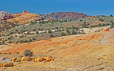 Yellow Rock Trail