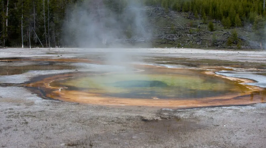 Yellowstone Forever Institute