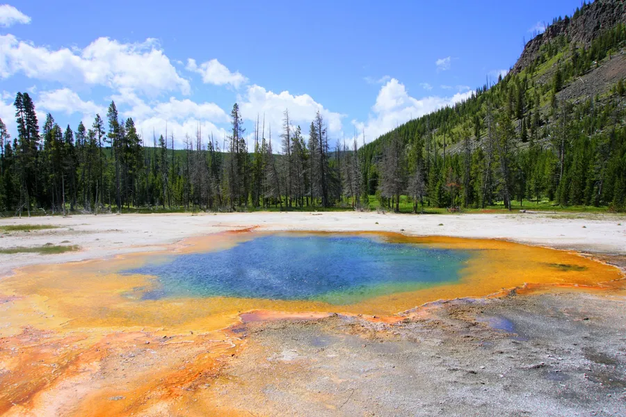 Yellowstone National Park
