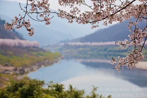 Yeonggwang Seomjin River Train Village