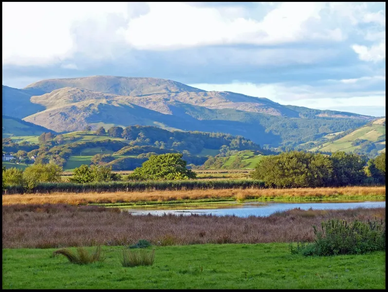 Ynys-hir RSPB Nature Reserve