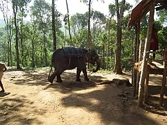Yodha Cultural Village