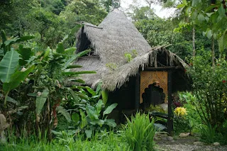 Yoga Retreats