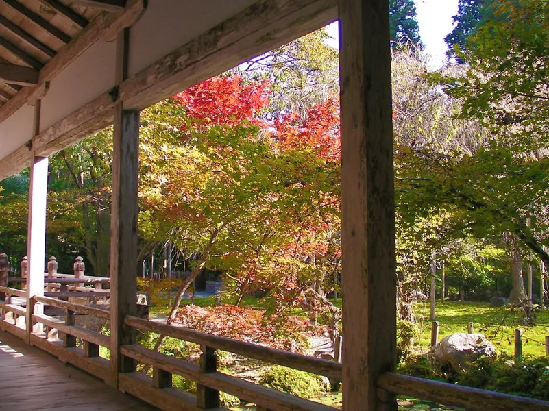 Yoichi Fruit Farm