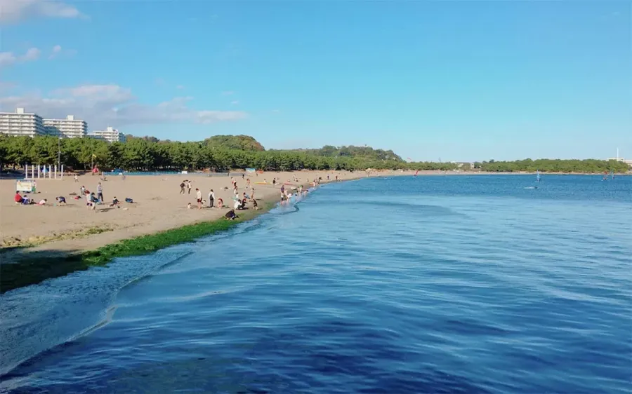 Yokosuka Umi no Koen (Sea Park)