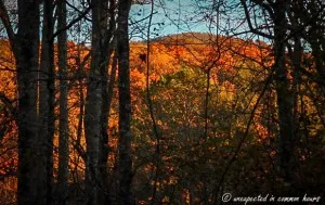 Yonah Mountain