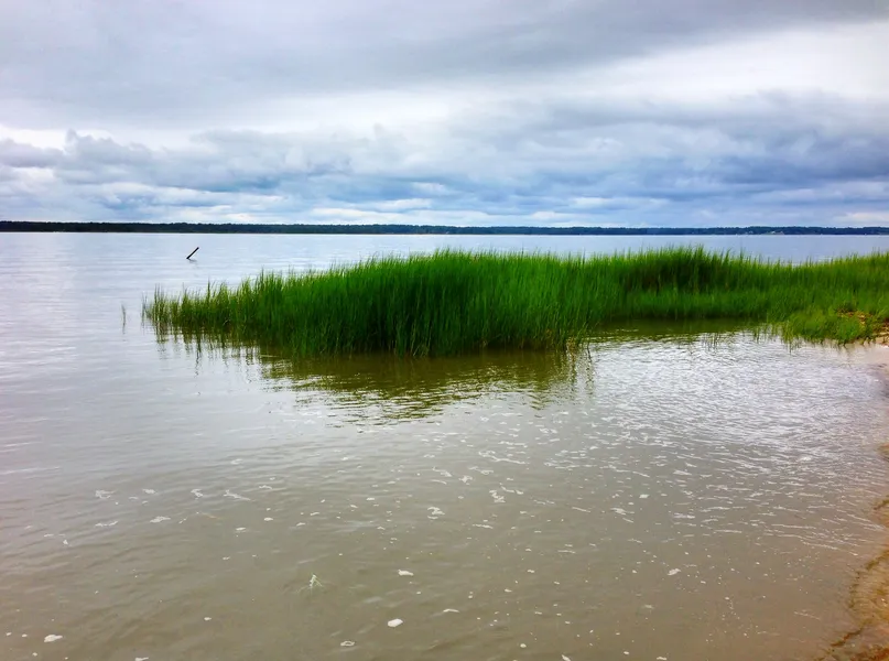 York River State Park
