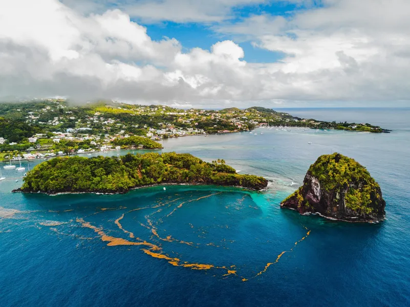 Young Island