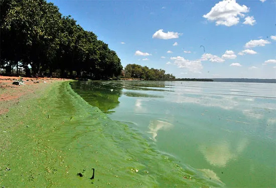 Ypacaraí Lake