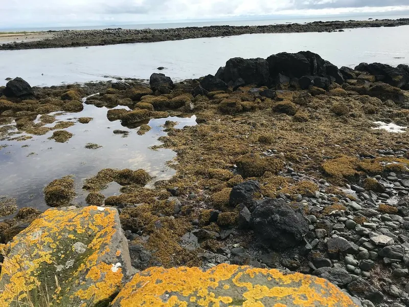 Ytri Tunga Beach