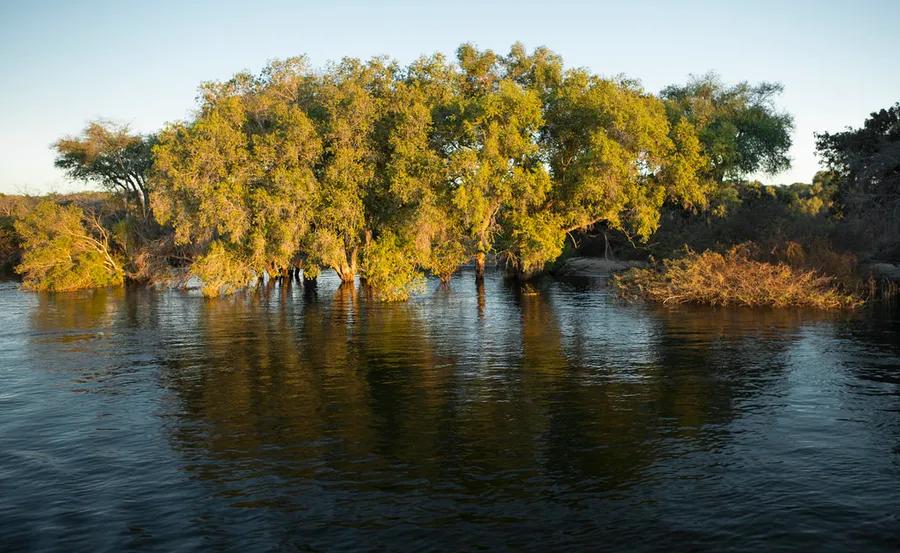 Zambezi River