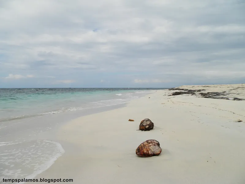Zapatilla Cay 1