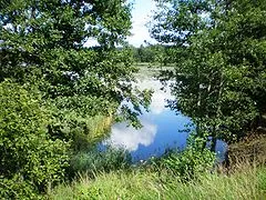 Zarasai Lake