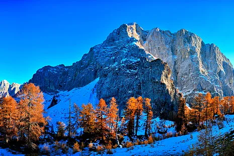 Zelenci Nature Reserve