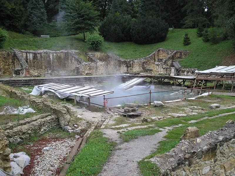 Zelendvor Arboretum