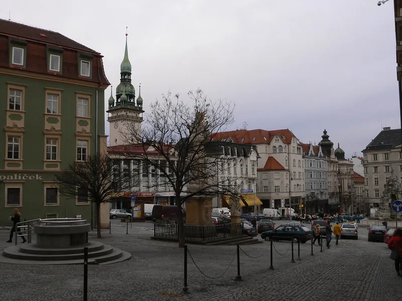 Zelný trh
