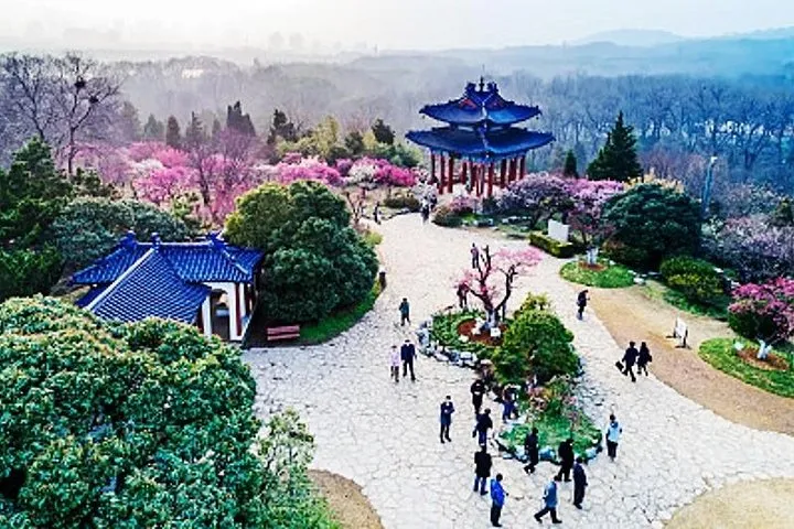 Zijin Mountain (Purple Mountain)