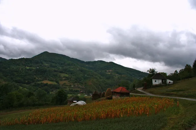 Zlatibor Market