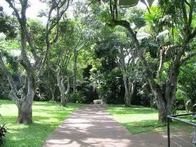 Zoo Ave