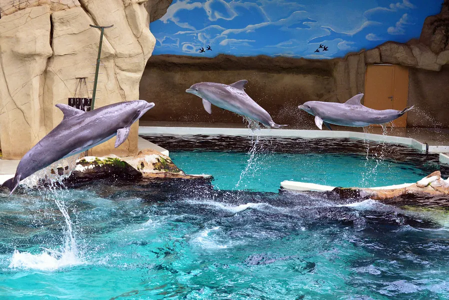 Zoo Duisburg