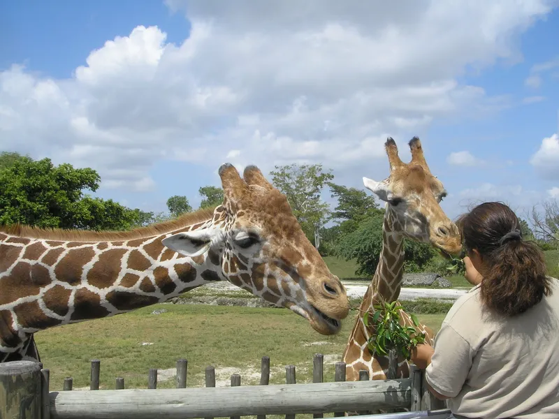Zoo Miami