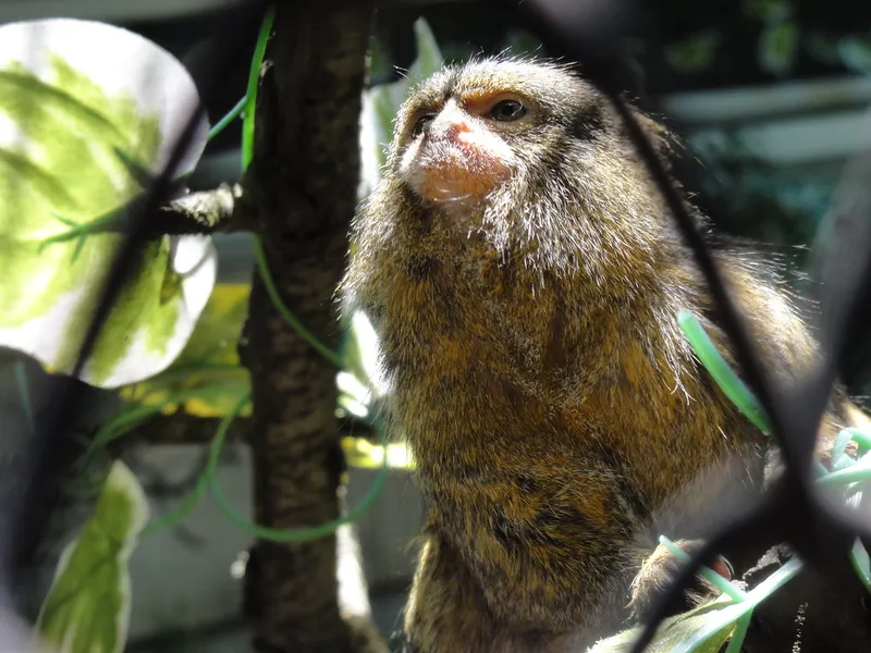 Zoo Sofia