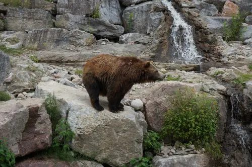 Zoo de Falardeau