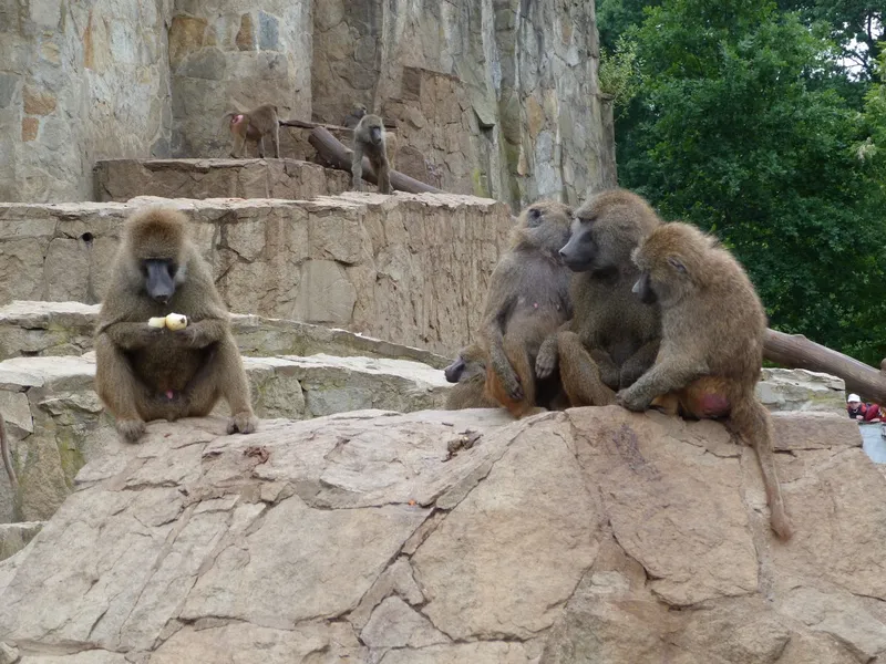 Zoological Garden Varna