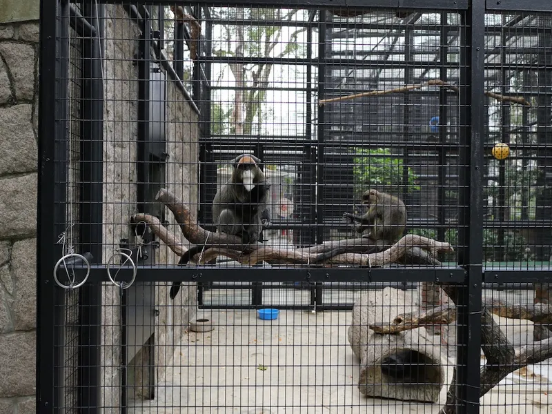 Zoological and Botanical Garden of Mulhouse