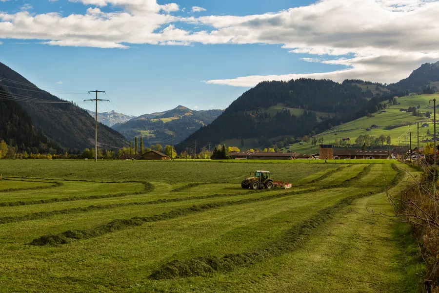 Zweisimmen Village