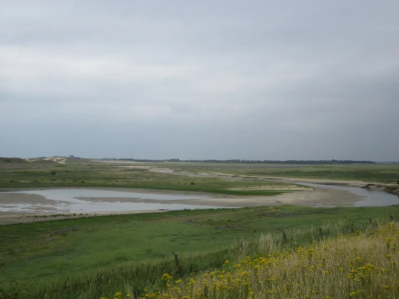 Zwin Nature Park